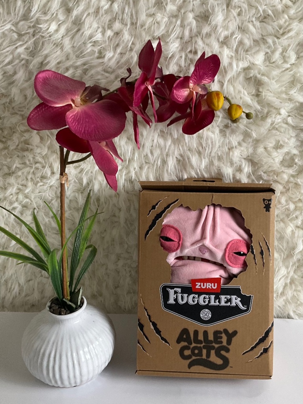 ZURA FUGGLER ALLEY CATS PINK SPHINX WRINKLE CAT~BRAND NEW IN THE BOX!